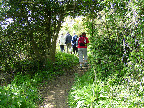 Randonnée à Rouillon